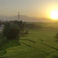 3هزارمتر-زمین-باغی-داخل-طرح-هادی-فومن-رودپیش