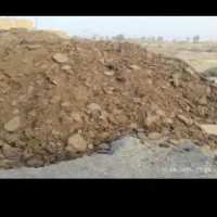 کودگاوی|عمده‌فروشی|سراوان, |دیوار