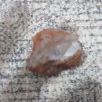 شجر|کلکسیون اشیاء عتیقه|کرج, حصارک پایین|دیوار