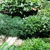 سبزی خورشتی تازه