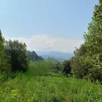 2100-متر-زمین-بر-اصلی-روستای-برند-دره-جیر