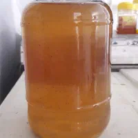 نمایشگاه عسل چندگیاه . عسل گون آویشن .عسل کنار|خوردنی و آشامیدنی|اهواز, بهارستان|دیوار