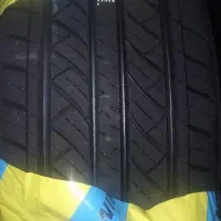 لاستیک به قیمت دولتی