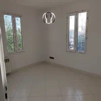 فاز1سند  تک برگ دار