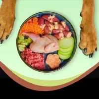 غذای سگ و گربه و سایر حیوانات