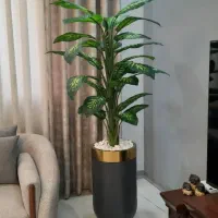 درختچه مصنوعی|گل مصنوعی|تبریز, |دیوار