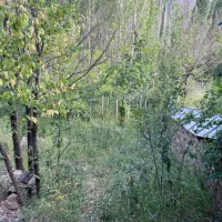 زمین کشاورزی قابل ساخت تا ۵۰ الی ۶۰ متر|فروش زمین و ملک کلنگی|بلده, |دیوار