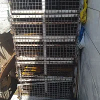قفس کبوتر