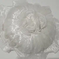 روتختی  طرح عروس نو