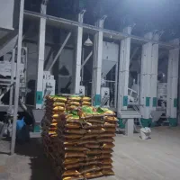 نیازمند کارگر