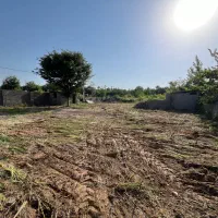 زمین ۹۵۸ متری نسقی|فروش زمین و ملک کلنگی|رشت, لاکان شهر|دیوار