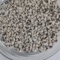 لوبیا چشم بلبلی|خوردنی و آشامیدنی|رشت, شهریاران|دیوار