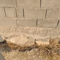 زمین باغچه|فروش زمین و ملک کلنگی|شوشتر, |دیوار