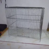 قفس