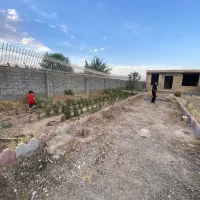 شاهنامه ۷۶ ، ۱۰۰۰ متری ، دور دیوار