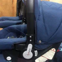 سیسمونی نوزاد