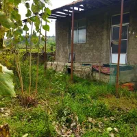 455متر خانه محوطه 65متر بنا تک خواب کوه پایه ای|فروش خانه و ویلا|احمدسرگوراب, |دیوار