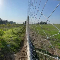 اجرای صفر تا صدهر نوع عملیات ساختمانی