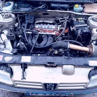 پژو 405 GLX 1384 تقویت دورچین XUM رنگ کامل