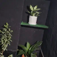 واحد 75 متری بسیار شیک|فروش آپارتمان|ملایر, |دیوار