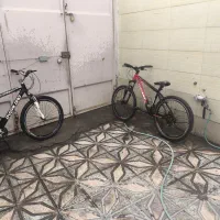 دو عدد دوچرخه