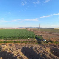 زمین کشاورزی سند ششدانگ|فروش زمین و ملک کلنگی|شریفآباد, |دیوار