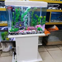 آکواریوم مرکزی خلیج فارس