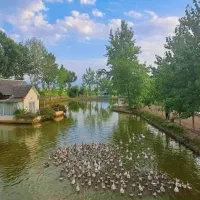 اقامت در دل طبیعت