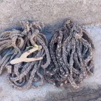 چهار عدد رسن مو بافت