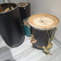 ۶ عدد گلدان