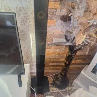 سینما خانواده تمیز و سالم