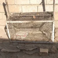 جا آشغالی به ابعاد یک متر در ۵۰