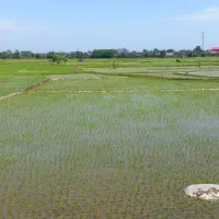 فروش-مزرعه-سنتی-املاک-آلا