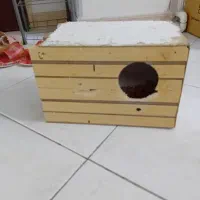 لانه گرینچیک، عروس هلندی، مرغ عشق