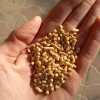 خوراک و دان پارس مرغ گوشتی