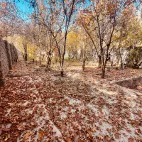 فروش-1000-متر-باغ-چهار-دیواری-با-سند-ملکی