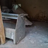 کفتر 25 عدد|پرنده|فردیس, قریشی|دیوار