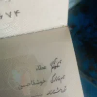 کات ملی به اسم عطا خو شقاحسن گم کردم