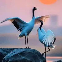 بره نر شیرخوار