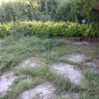 علفتراشی هرس برش چوب وغیره انجام می شود