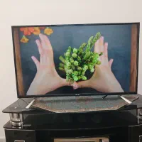 ال ای دی ۴۳ با ۲۱ ماه گارانتی