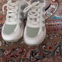 کفش اسپرت لژ دار|کیف، کفش، کمربند|کبودرآهنگ, |دیوار