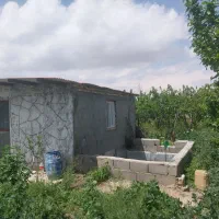 فروش-باغ