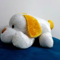 عروسکای پولیشی|اسباب‌‌بازی|گرگان, |دیوار