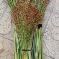 دوستان عزیز جاروهای میبندم و پاک هم می کنم