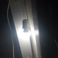 لاپ تکی و عمده