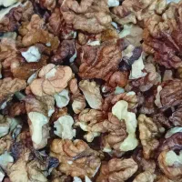 فروش مغز گردو قهوه ای