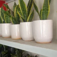 چشم اندازی زیبا