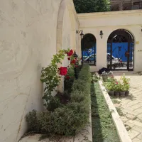 خدمات باغبانی «« راش سبز »»|خدمات باغبانی و درختکاری|کرج, عظیمیه|دیوار