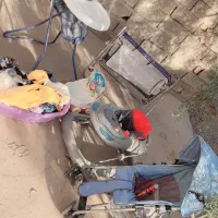 سیسمونی کامل نوزاد